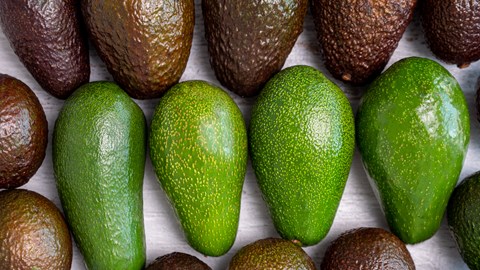 Společnost Fruit Services Collective zvyšuje kapacitu chladírenských skladů pomocí pokročilých regálů pushback